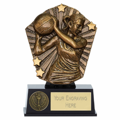 Picture of Cosmos Mini Shield Netball Award  12.5cm