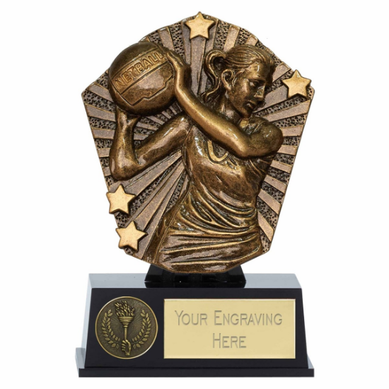 Picture of Cosmos Mini Shield Netball Award  12.5cm