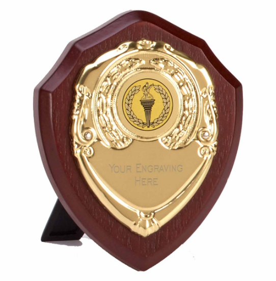 Picture of Triumph Gold Presentation Shield  10cm