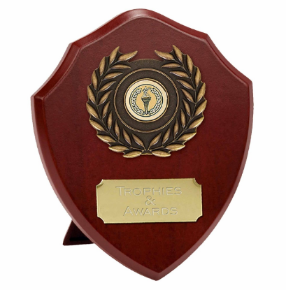 Picture of Triumph Gold Laurel Wooden Presentation Shield  17.5cm