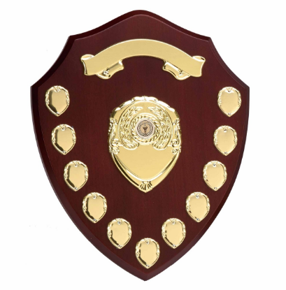 Picture of Triumph Gold Annual Presentation Shield  35.5cm