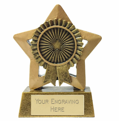 Picture of Mini Stars Rosette Trophy  8cm