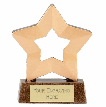 Picture of Mini Stars Award Trophy  8cm