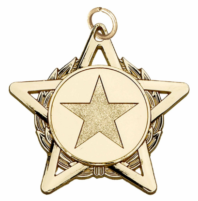 Picture of Gold Hope Star Medal 50mm (2") 50mm