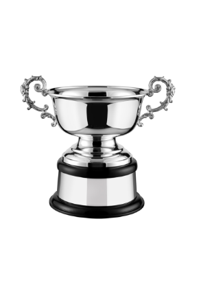 Picture of Equine Bowl Silver Plated Cup Complete 9.5cm