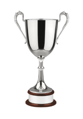 Picture of Revolution Colossal Nickel Plated Award 25.5cm