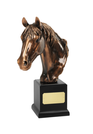 Picture of x 10in Bronze Horses Head Award 14cm