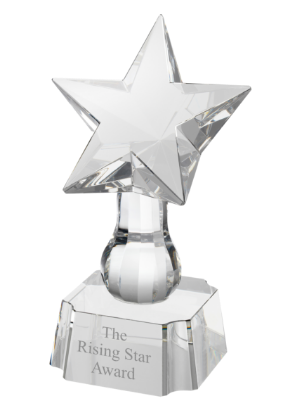 Picture of Clear Optical Crystal Rising Star Award 11.5cm