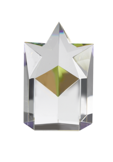 Picture of Optical Crystal Rising Star Award