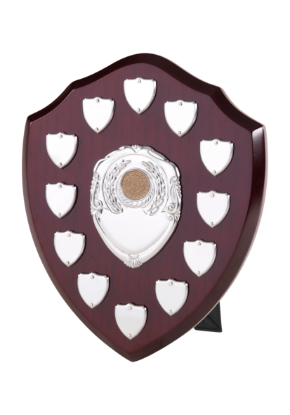 Picture of Perpetual Shield Award - 12 Side Shields 10cm