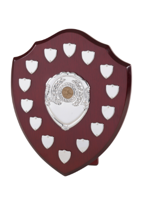 Picture of Perpetual Shield Award - 14 Side Shields 12cm