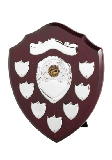 Picture of Perpetual Shield Award - Scroll & 7 Side Shields 10cm