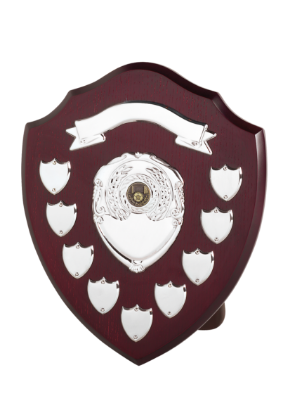 Picture of Perpetual Shield Award - Scroll & 9 Side Shields 12cm