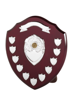 Picture of Perpetual Shield Award - Scroll & 11 Side Shields 14cm