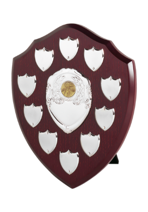 Picture of Perpetual Shield Award - 10 Side Shields 10cm