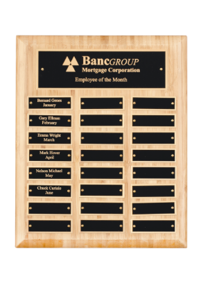 Picture of x 10.5in Bamboo Perpetual Plaque - 24 Plates 13cm